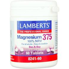 Verbetering van spierfunctie Vitaminen en Mineralen Lamberts Magnesium 375