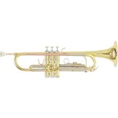 TR-202 Bb