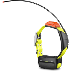 T5X Dog Collar
