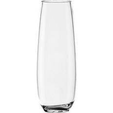 TarHong Montana Champagne Glass 29.6cl 6pcs