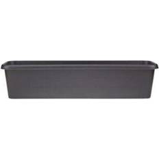 Stewart Terrace Trough Box 22cm