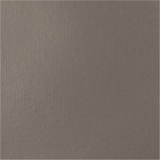 Gris Pinturas acrílicas Basics 118Ml Neutral Grey Value 5/Mixing Grey 599