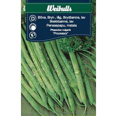 Krukker, Planter & Dyrkning Weibulls Böna Processor Grøntsagsfrø