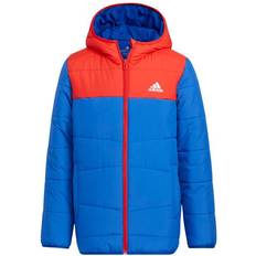 Adidas Kid's Padded Winter Jacket - Royal Blue (HM5177)