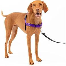 Walk the dog PetSafe Easy Walk Dog Harness, Purple/Black