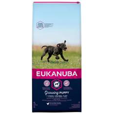 Eukanuba puppy large breed Eukanuba Growing Puppy Large Breed Chicken 2kg