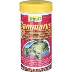 Schildpad Huisdieren Tetra Gammarus 1 Liter