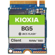 2230 m.2 nvme 1tb Kioxia BG5 Series KBG50ZNS1T02 1TB