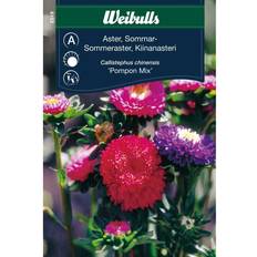 Weibulls Aster Pompon Mix Blomsterfrø
