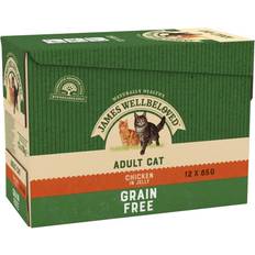 James Wellbeloved Grain Free Adult Chicken in Jelly Pouch 12x85g