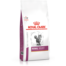 Royal Canin Diets Renal Select Dry Cat Food 4