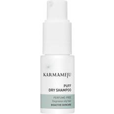 Puff Dry Shampoo