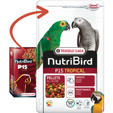 P15 tropical Versele Laga Livsmedelsfoder Nutribird P15 Tropical