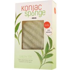 Konjac Svamp