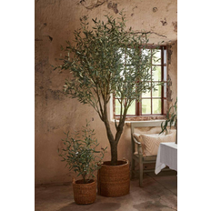 Brugskunst Mr Plant Konstgjord Oliv 240 cm Kunstig plante