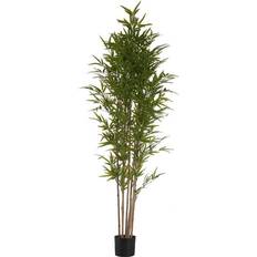 Brugskunst Ibergarden Dekorativ plante Bambus Grøn Plastik (80 x 180 x 80 cm) Dekoration