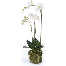 Hvite Kunstige planter Emerald Orchid Kunstig plante