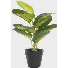 Bambus Dekorationsfigurer Dkd Home Decor Dekorativ plante Sort Grøn PVC PP (25 x 25 x 30 cm) Dekorationsfigur