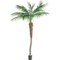 Kunstige palme Fröken Fräken Phoenix Palm Kunstig plante