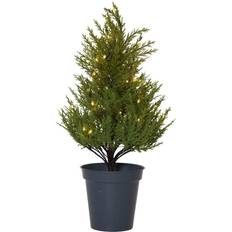 Star Trading Kunstig plante Thuja 55 cm LED-lys