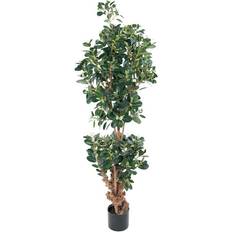 Konstgjord Fikus Panda 120 cm 2-pack Kunstig plante