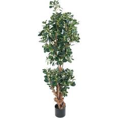 Fikus Mr Plant Konstgjord Fikus Panda 120 cm 2-pack Kunstig plante