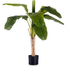 Plast Billeder Ibergarden Dekorativ plante Bananplante Grøn Plastik (80 x 120 x 80 cm) Billede