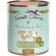 Terra Canis spannmålsfritt 6 800 mango vinbär