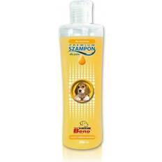 Super Beno Premium Shampoo hvalpepels