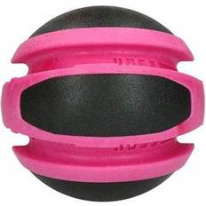 Dog Comets Jupiter Pink