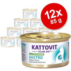 Ekonomipack: Gastro 24 Kalkon