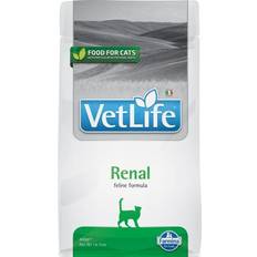 Farmina Farmina Vet Life CAT Renal 400