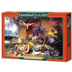 Castorland Elegant Still Life with Flowers 2000 Pieces