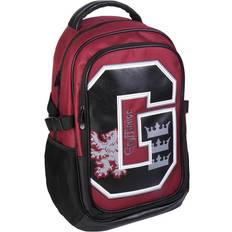 Harry Potter Cerda Group Backpack