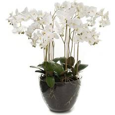 Newport Konstgjord Phalaenopsis 90
