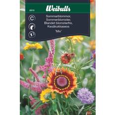 Weibulls Krukker, Planter & Dyrkning Weibulls Sommarblommor Mix Blomsterfrø