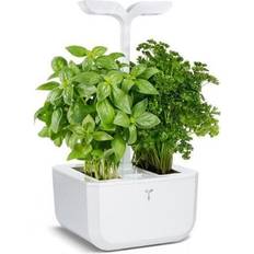 Veritable Exky Classic Garden Minidrivhus