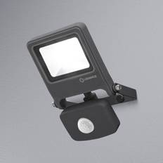 LEDVANCE LED Floodlight Endura Black 10W 800lm 100D