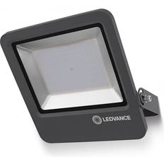 LEDVANCE ENDURA® FLOOD Cool