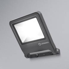 Linternas LEDVANCE Endura Floodlight Foco LED Exterior 50W