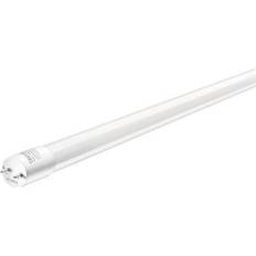 Led t8 18w Century Tubo led t8 120cm 18w attack g13 luz natural fvt8-181240