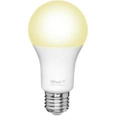 71285 LED Lamps E27