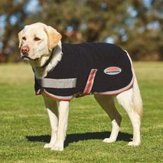 Weatherbeeta Therapy-Tec hundkappa, 45cm, Black/Silver/Red
