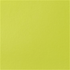 Amarillo Pinturas acrílicas Basics 118Ml Brilliant Yellow Green 840