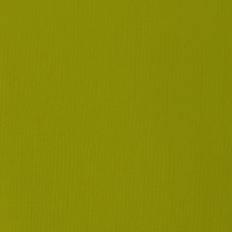 Liquitex "Basics 118ml Light Olive Green 218"