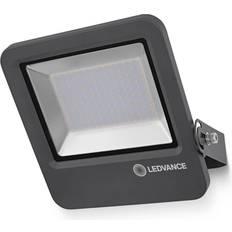 LEDVANCE Endura Flood 100W 4000K