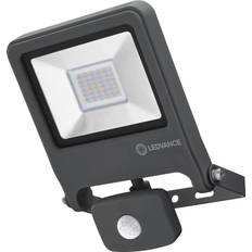 Endura Floodlight with Sensor