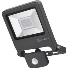 Ledvance floodlight LEDVANCE Endura Floodlight with Sensor