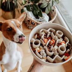Hunde slow feeder District 70 Bamboo Slow Feeder Merengue