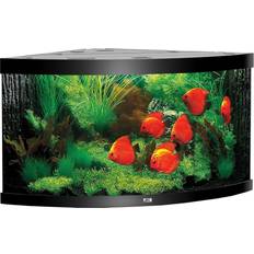 Juwel akvarie Juwel Trigon 350 LED Aquarium